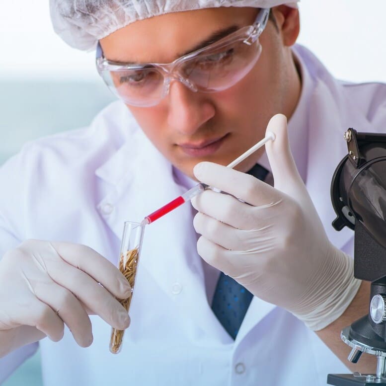 Research and innovation